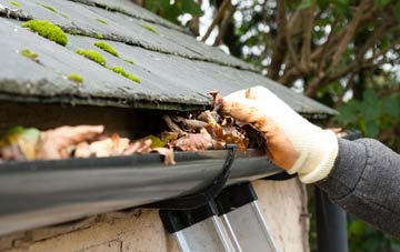 gutter cleaning Rodway