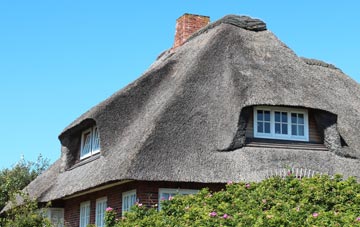 thatch roofing Rodway